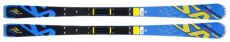 Горные лыжи Salomon GS Lab w Powerline X (12/13)